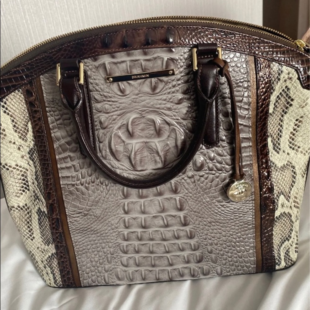 Large Brahmin Duxbury